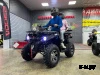 Квадроцикл PROMAX RENEGADE 300 LONG WINCH PRO