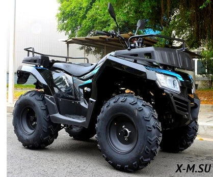 Квадроцикл RATO - 200 simple "CABO" Квадроцикл RATO - 200 simple "CABO"