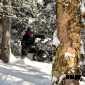 Сноубайк Widescape WS250