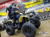 Квадроцикл PROMAX ATV 250