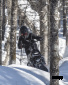Сноубайк Widescape WS250