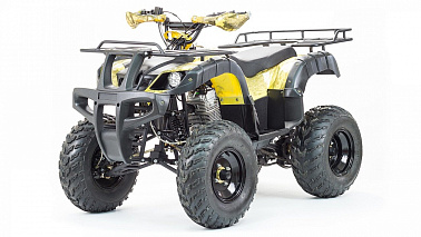 Квадроцикл MOTOLAND (МОТОЛЕНД) 250 ADVENTURE