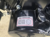 Мопед PROMAX ALPHA PRIDE 130 (49) АКЦИЯ