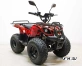 Квадроцикл GreenCamel Атакама T120 (48V 800W R8 Цепь)