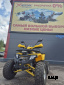 Квадроцикл PROMAX WILD 2.0 190 PRO Желтый  Б/У