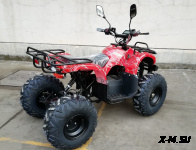 Квадроцикл GreenCamel Атакама T320 (48V 1000W R8 Дифференциал)