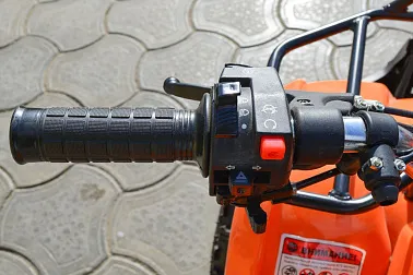 Квадроцикл ATV Target Next