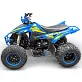 Квадроцикл YACOTA TYPHOON 250
